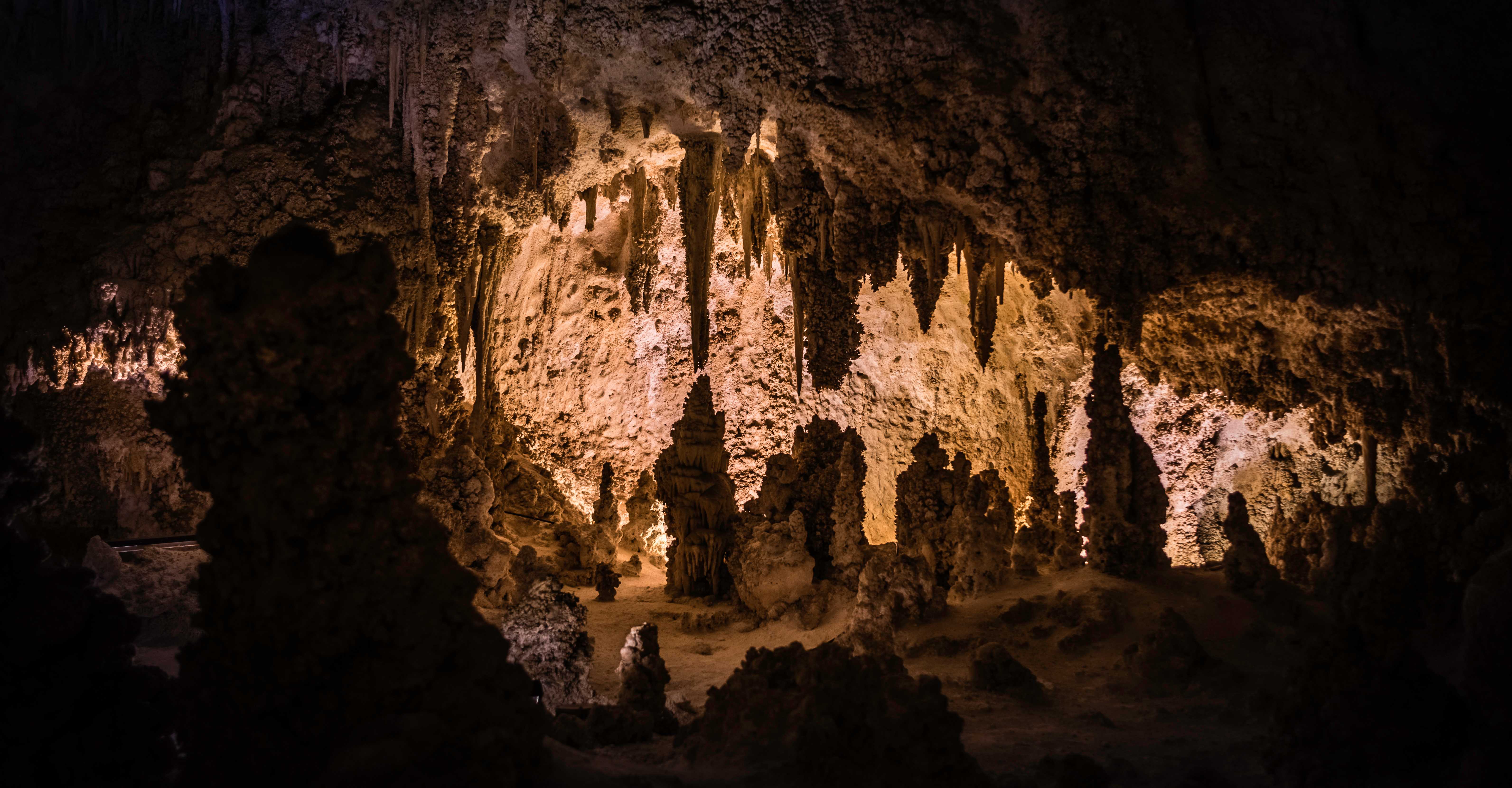 Dans l'obscurité renait la lumière